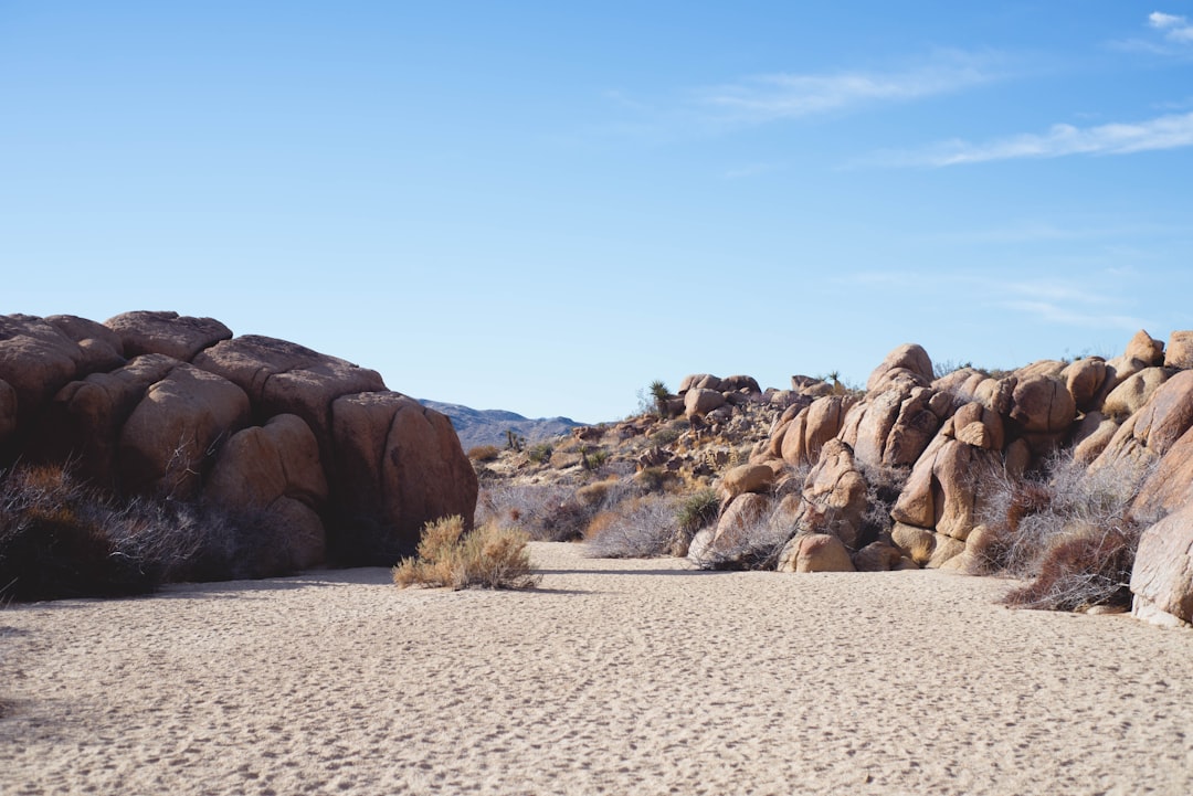 Embracing the Wild: Unconventional Ways to Explore the Great Outdoors Embracing the Wild: Unconventional Ways to Explore the Great Outdoors