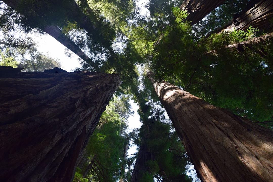 Embracing the Great Outdoors: A Journey to Self-Discovery Embracing the Great Outdoors: A Journey to Self-Discovery