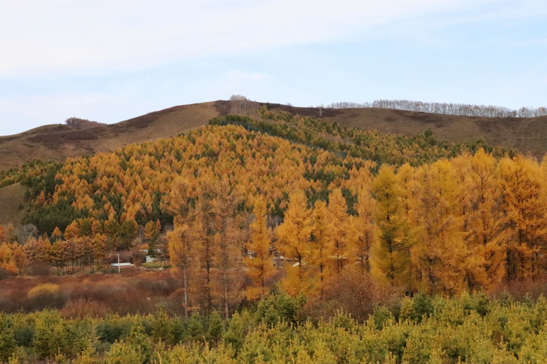 Embracing Nature: A Journey into Sustainable Outdoor Travel Embracing Nature: A Journey into Sustainable Outdoor Travel